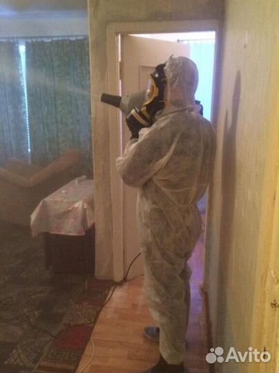 Средство для Уничтожения клопов тараканов плесени клещей