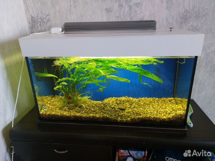 Аквариум на 150 литров