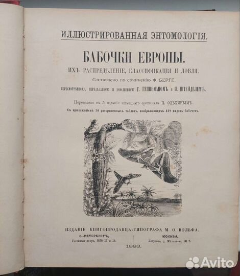 Бабочки Европы. 1883 г. Ф. Берге