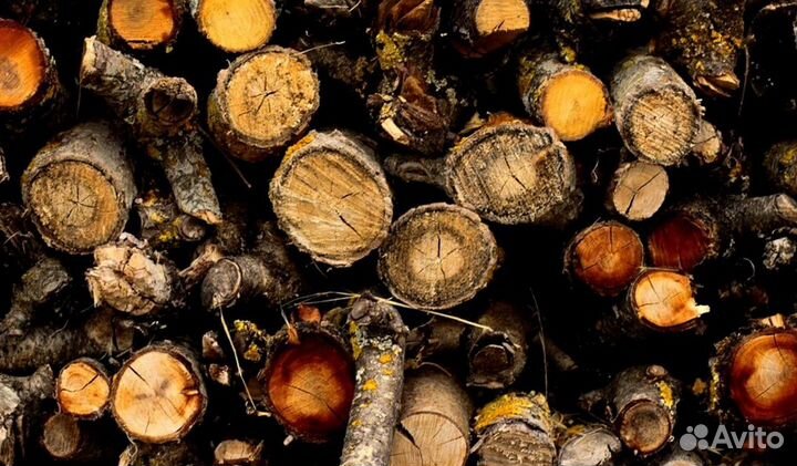 Дрова ольха осина береза