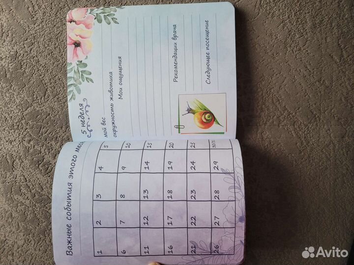 Дневник беременности