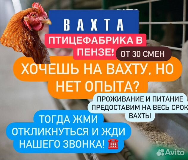 Упаковщик вахтой с питанием/проживанием