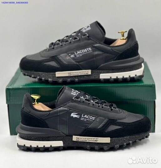 Lacoste (Арт.75197)