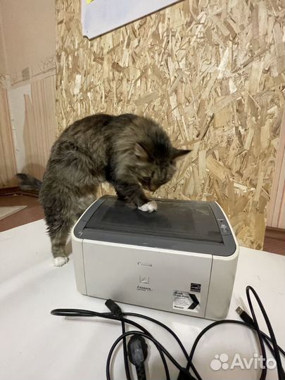 Принтер лазерный Canon LBR-2900