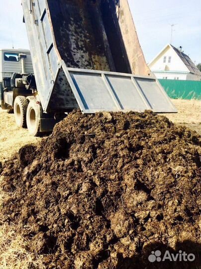 Навоз коровий