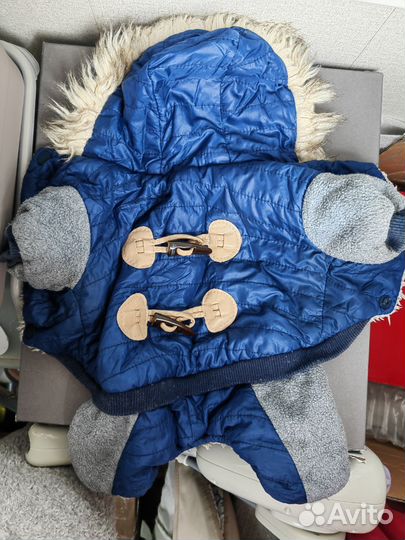 Одежда для маленьких собак xs