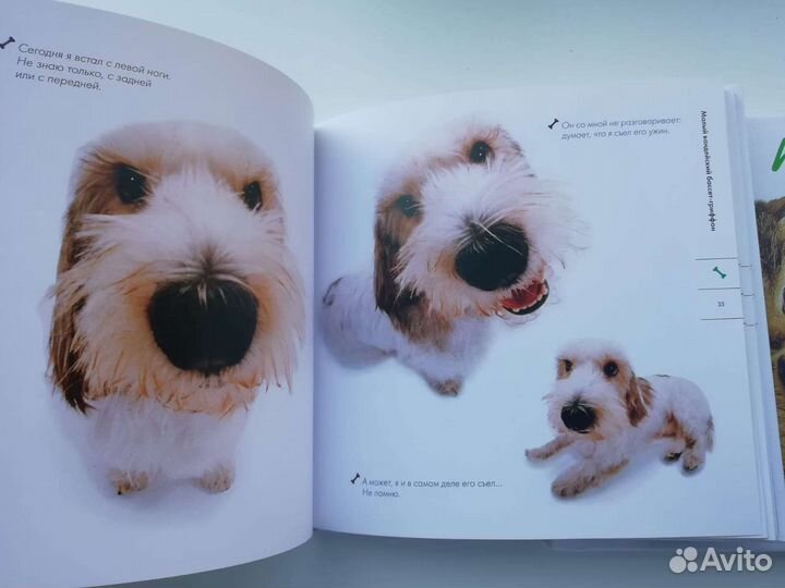Детские книги цена за 2 шт