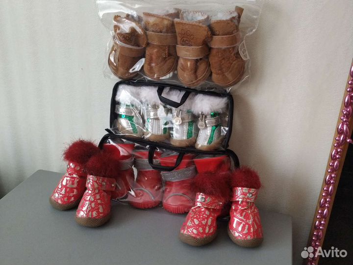 Обувь для маленьких собак