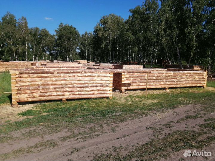 Срубы сосновые из зимнего леса в наличии