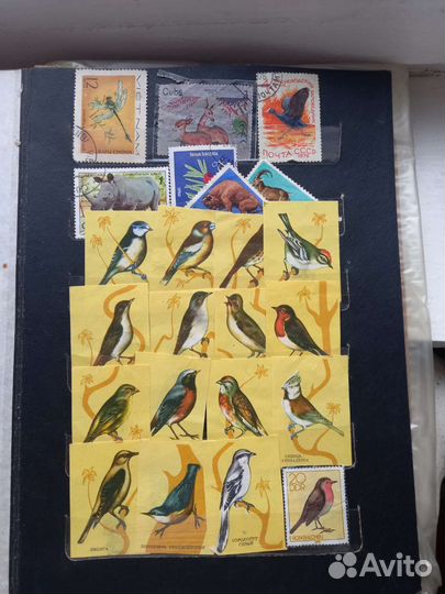 Коллекционные марки СССР