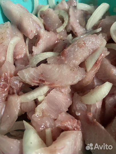 Сиг северный