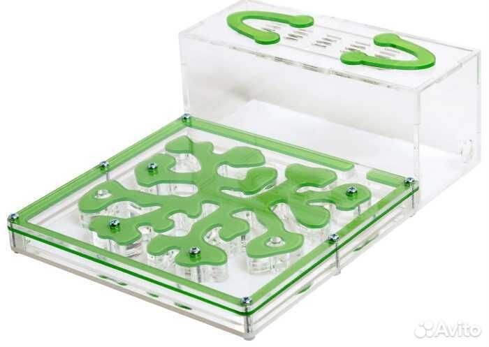 Муравьиная ферма