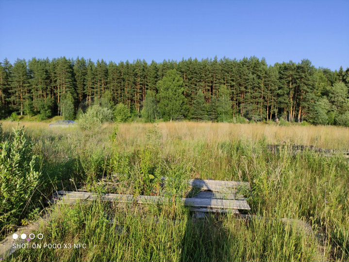 Участок 50 сот. (ИЖС)