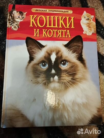 Энциклопедия для детей