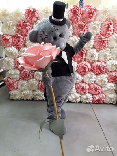 Аниматор. Мишка Тэдди