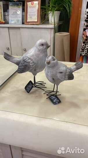 Птицы интерьерные