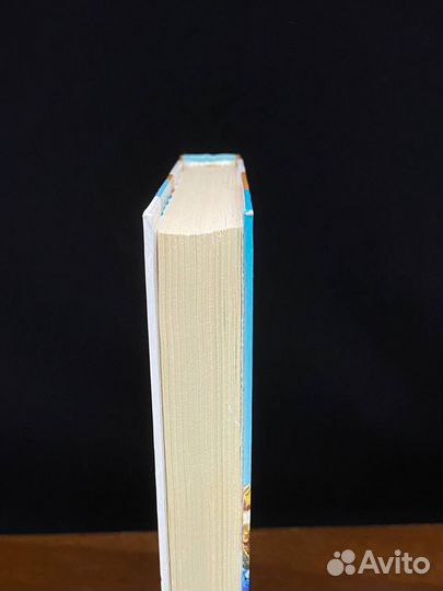 Республика Шкид