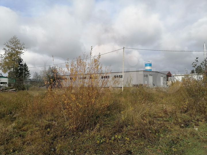 Участок 10 га (промназначения)