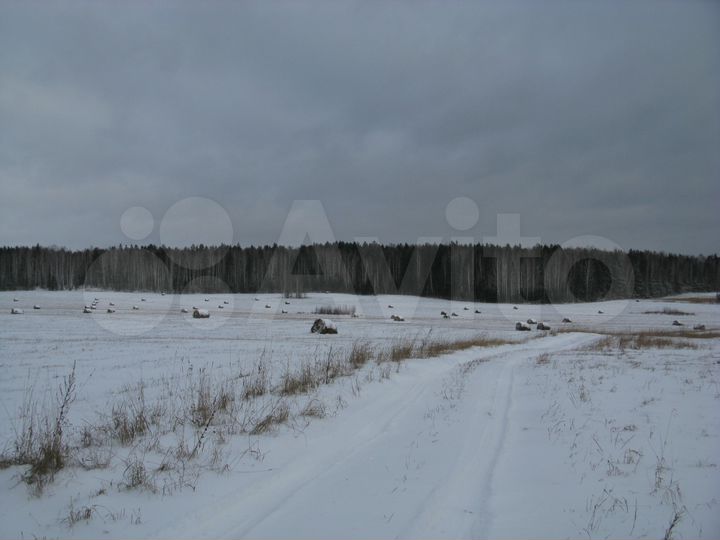 Участок 28 га (СНТ, ДНП)