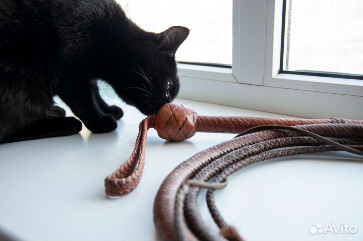 Кнут Индианы Джонса (осталась 1 шт.)