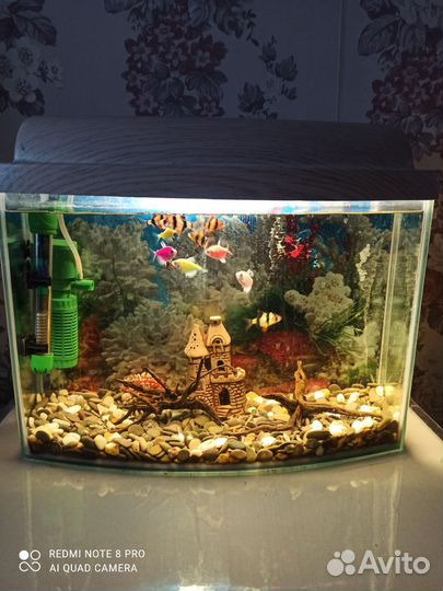 Аквариум с рыбками