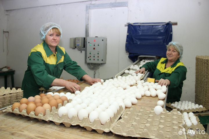 Упаковщик - Стикеровщик вахта