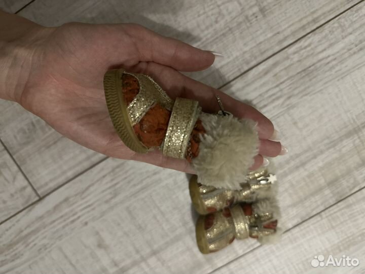 Ботинки для собаки мелких пород