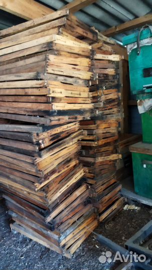 Инвентарь для пчеловодства