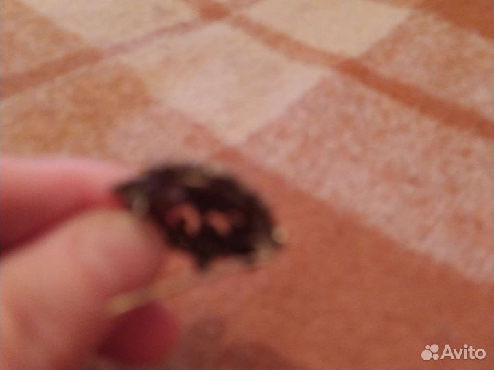 Старинная брошь серебро винтаж