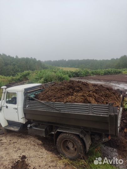 Коровий навоз