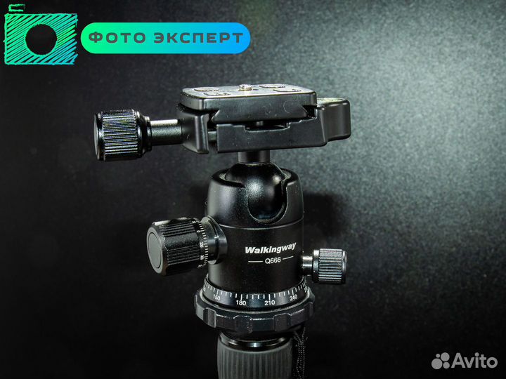 Штатив Walkingway Q666