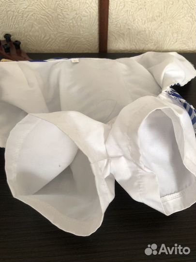 Костюм для собаки