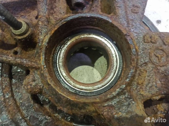 Кулак задний правый