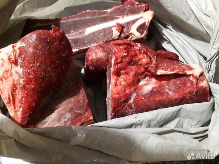 Мясо для животных-Говядина