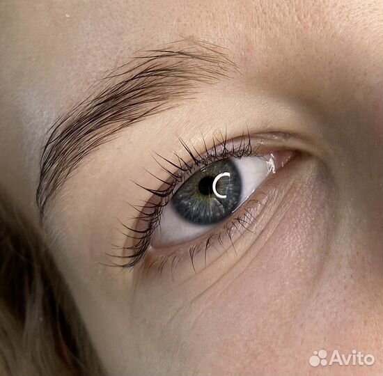 Брови и ресницы