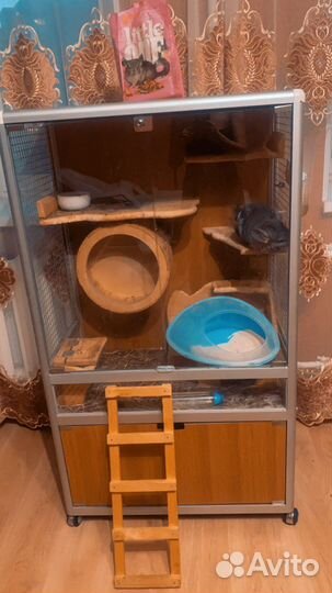 Клетка витрина для шиншиллы