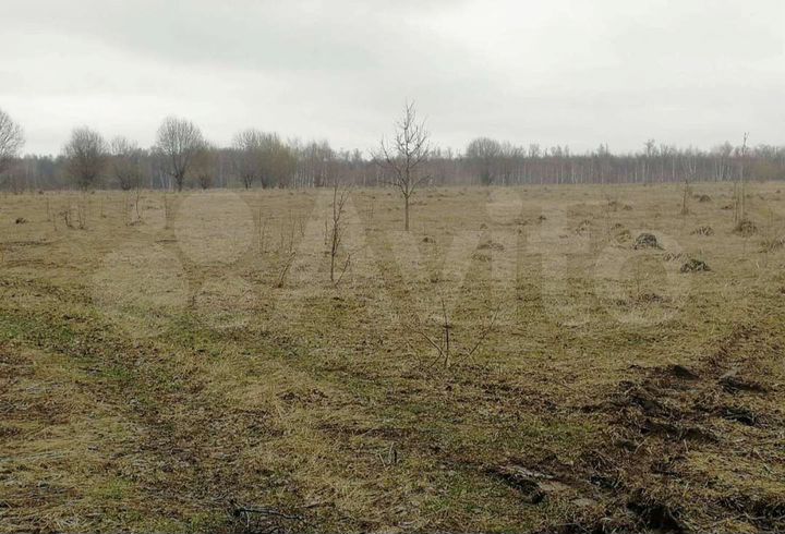 Участок 72,2 сот. (ИЖС)