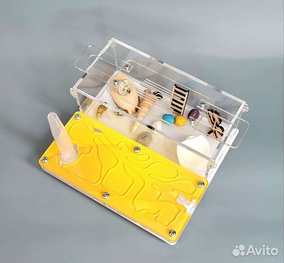 Муравьиная ферма жёлтая