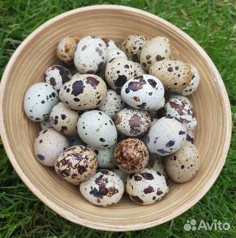 Яйца перепелиные