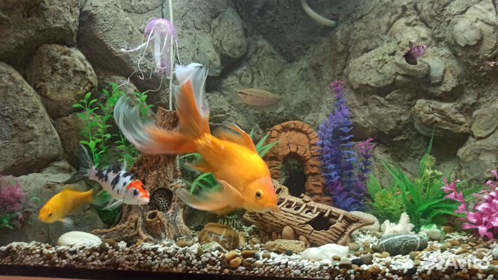 Аквариум с тумбой 120 литров