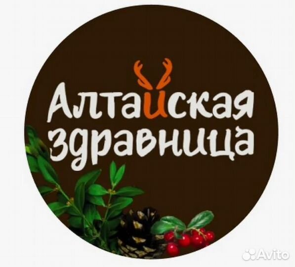 Администратор