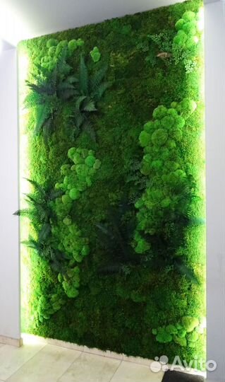 Картина, панно,стена из стабилизированного мха