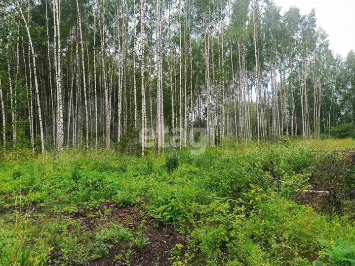 Участок 9,6 сот. (ИЖС)