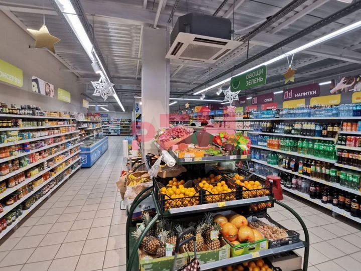 Торговое с арендаторами Магнит и алкомаркет 520 кв