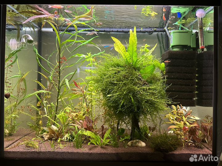 Аквариумы 140,60,40,10л