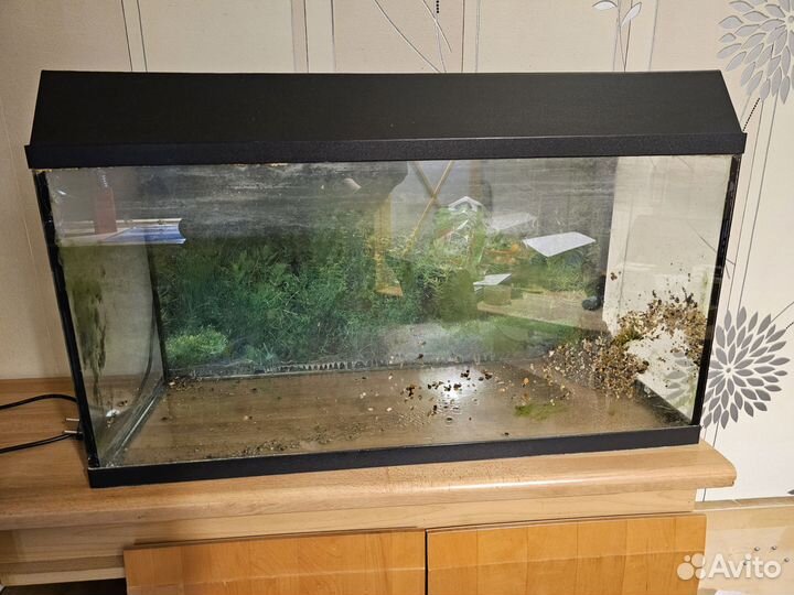 Аквариум