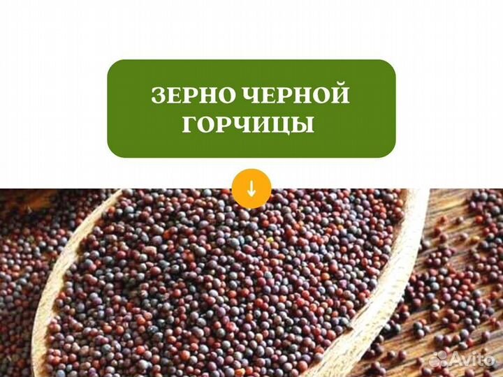 Чёрная горчица (кг)