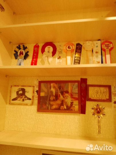 Полка настенная