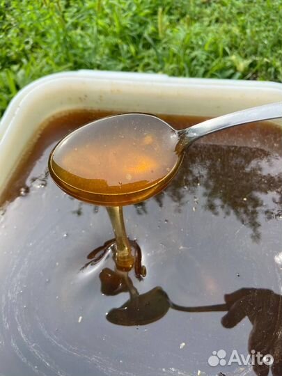 Мед гречиха оптом 2024