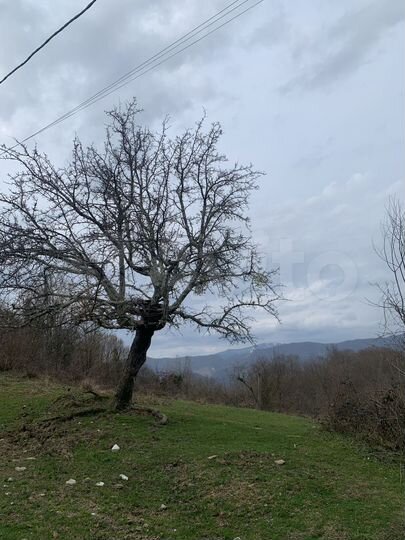 Участок 100 сот. (СНТ, ДНП)